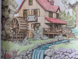 whatsapp image 2026-03-16 at 12.13.06